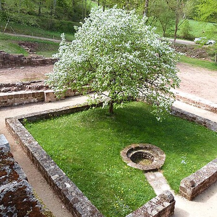 Photo de Ruines de lancien prieuré du Sauvage