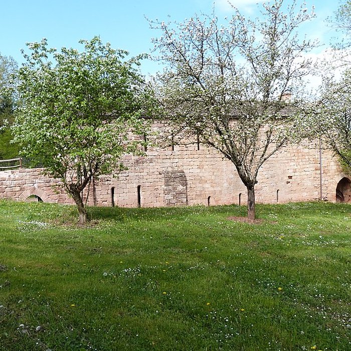 Photo de Ruines de lancien prieuré du Sauvage