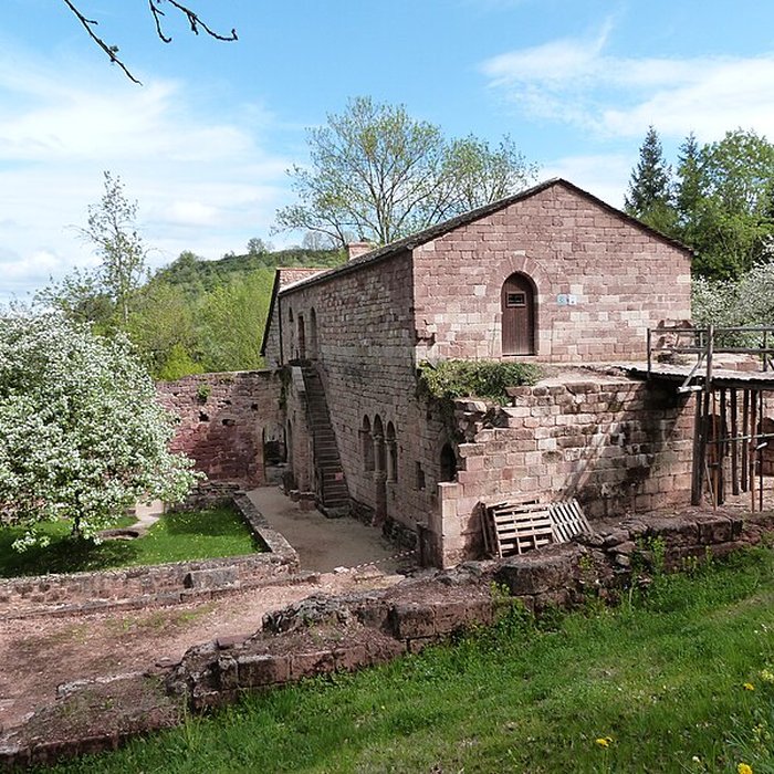 Photo de Ruines de lancien prieuré du Sauvage
