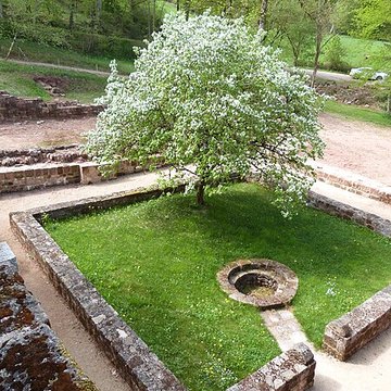 Ruines de lancien prieuré du Sauvage