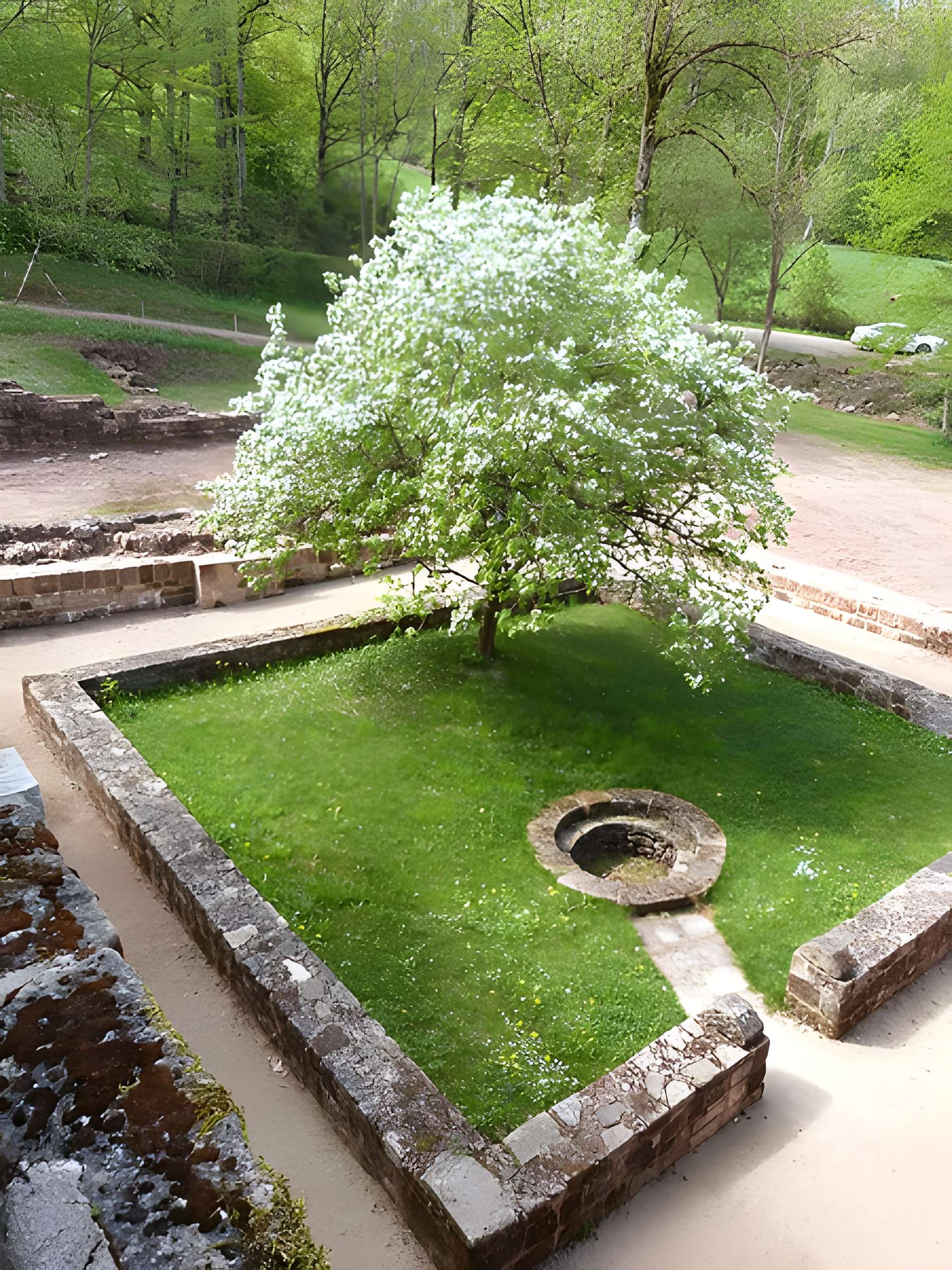 Ruines de l'ancien prieuré du Sauvage