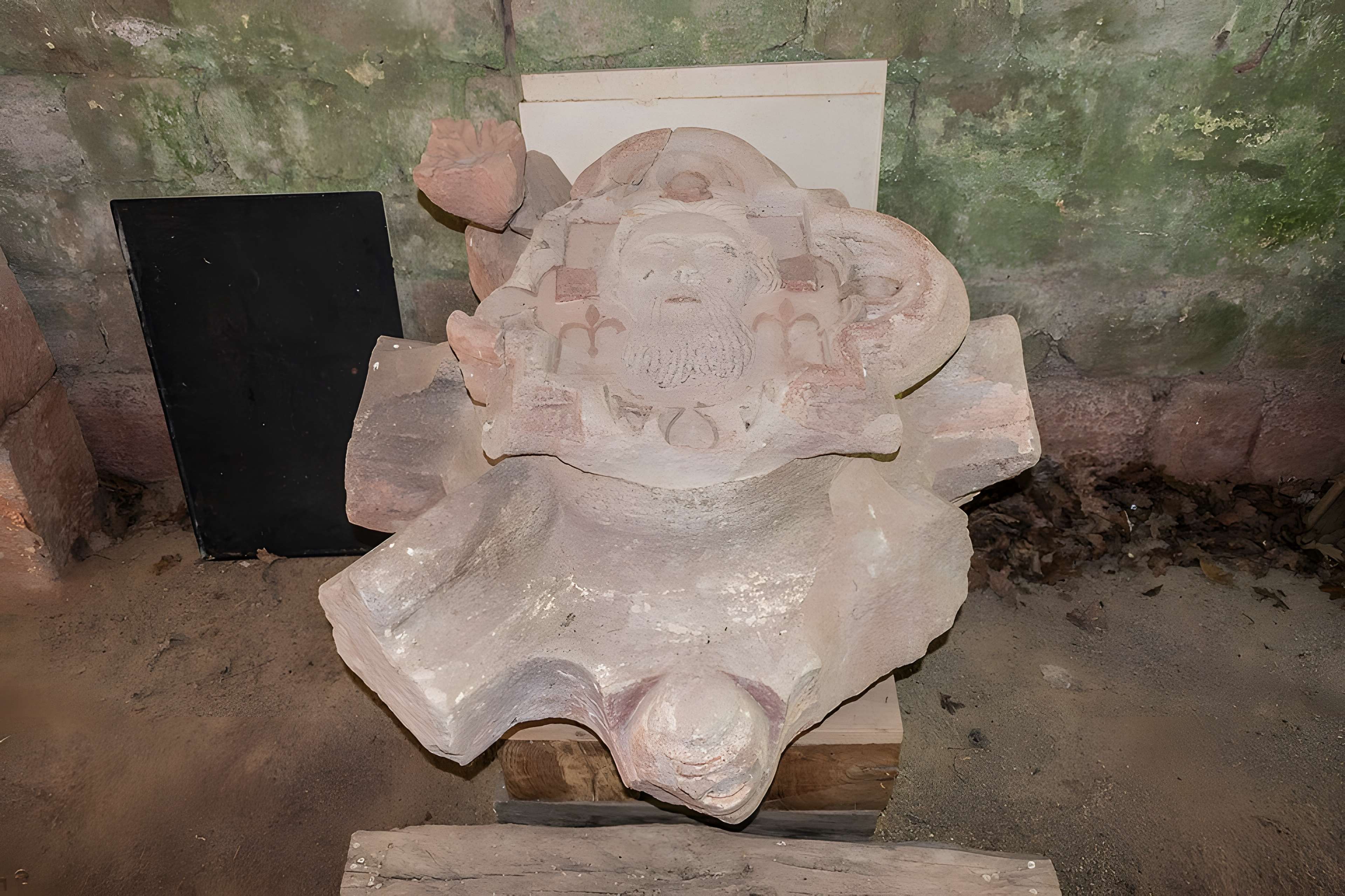 Ruines de l'ancien prieuré du Sauvage