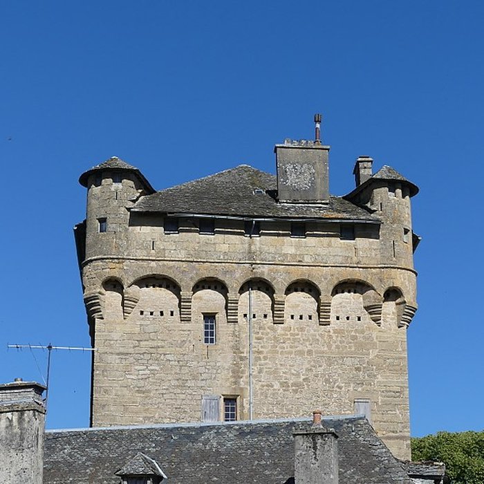 Photo de Château de Masse