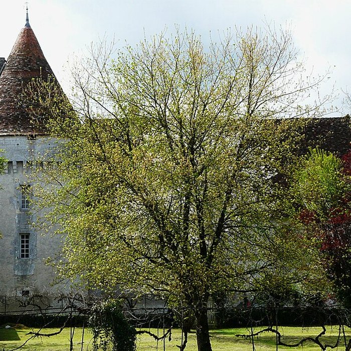 Photo de Château Saulnier