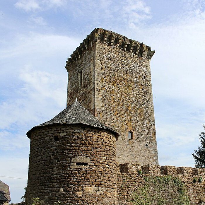 Photo de Château de Tholet