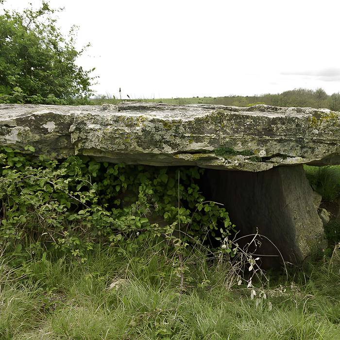 Photo de Site archéologique du dolmen de Saplous II