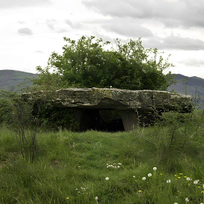 Photo de Site archéologique du dolmen de Saplous II