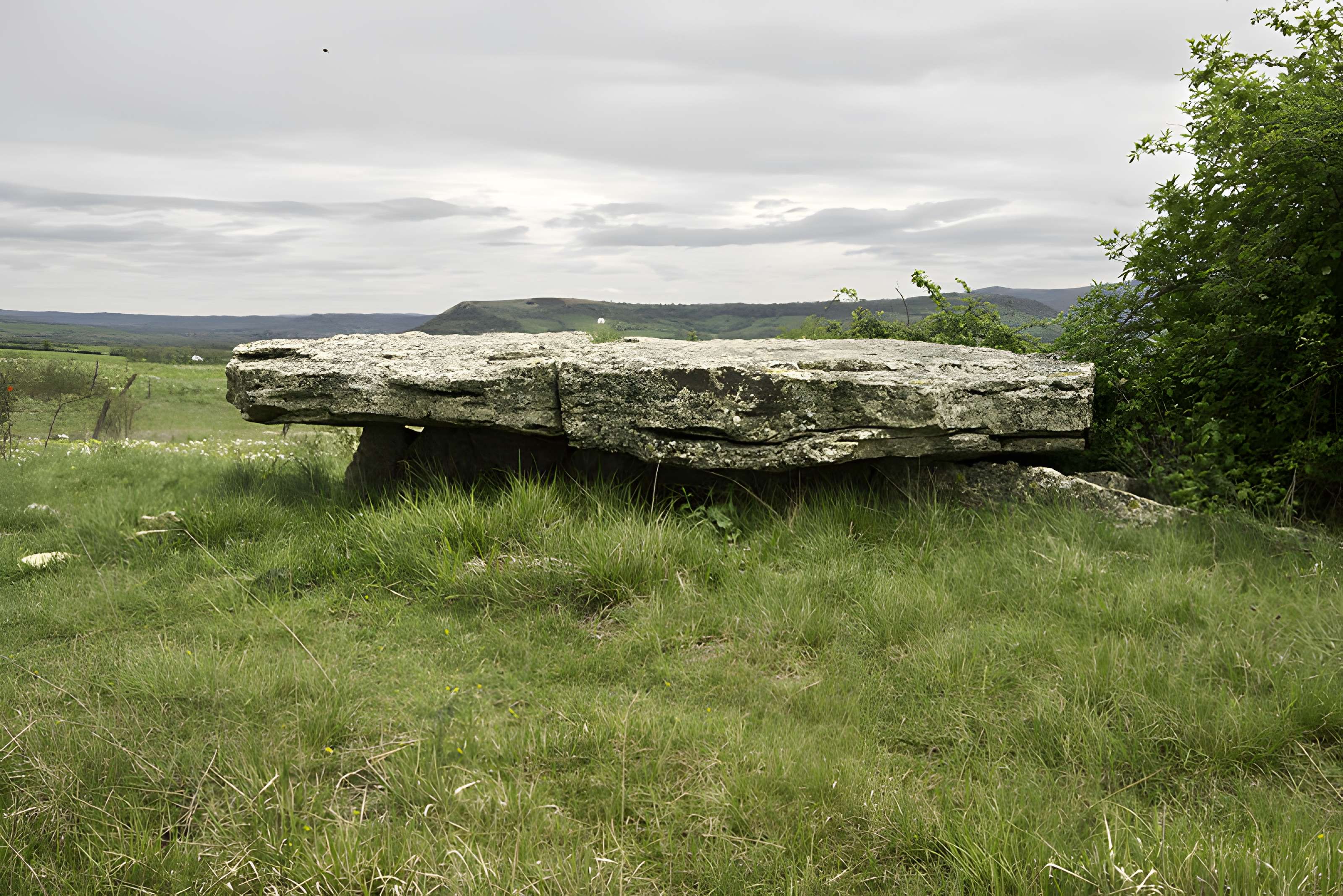 Site archéologique du dolmen de Saplous II