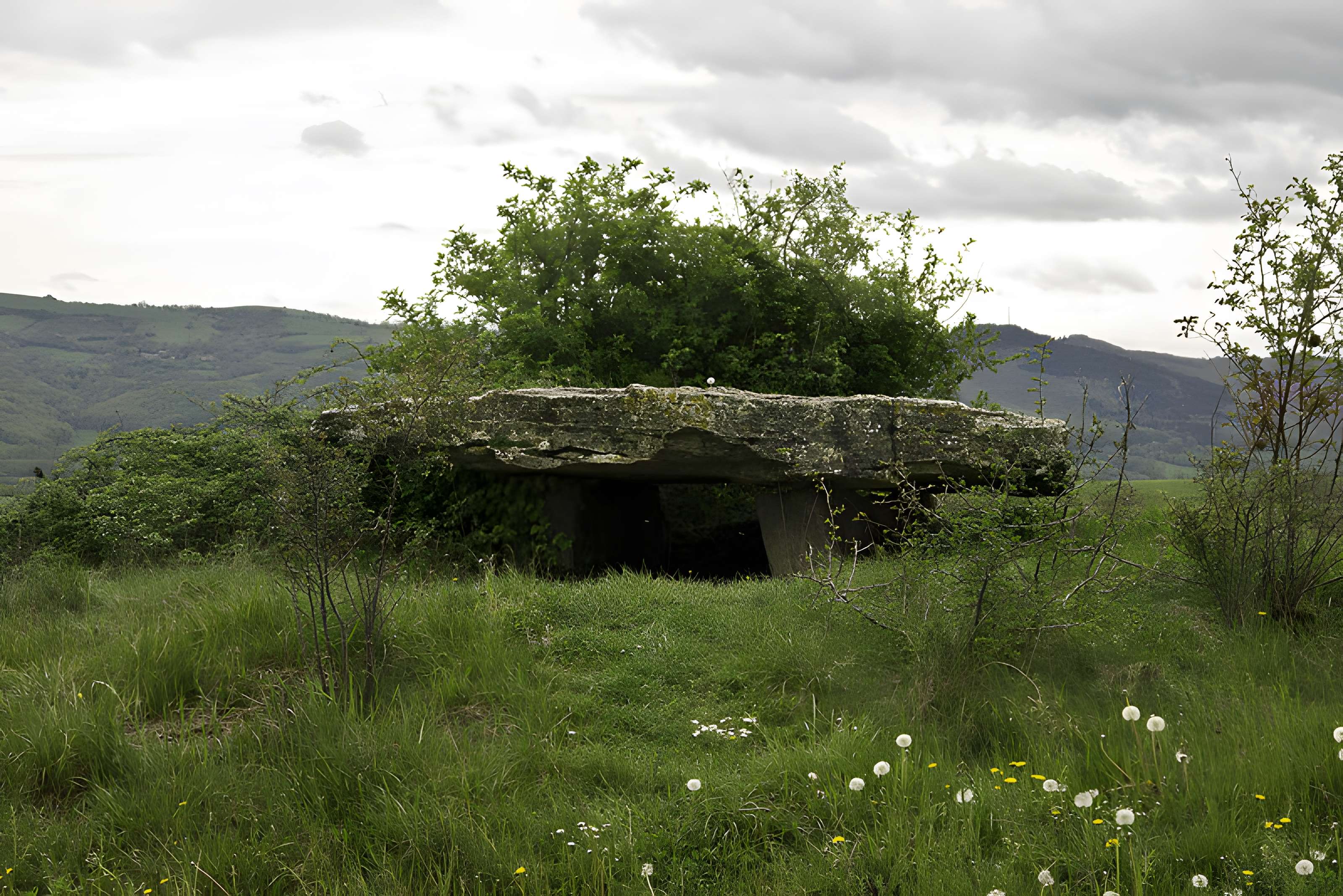 Site archéologique du dolmen de Saplous II