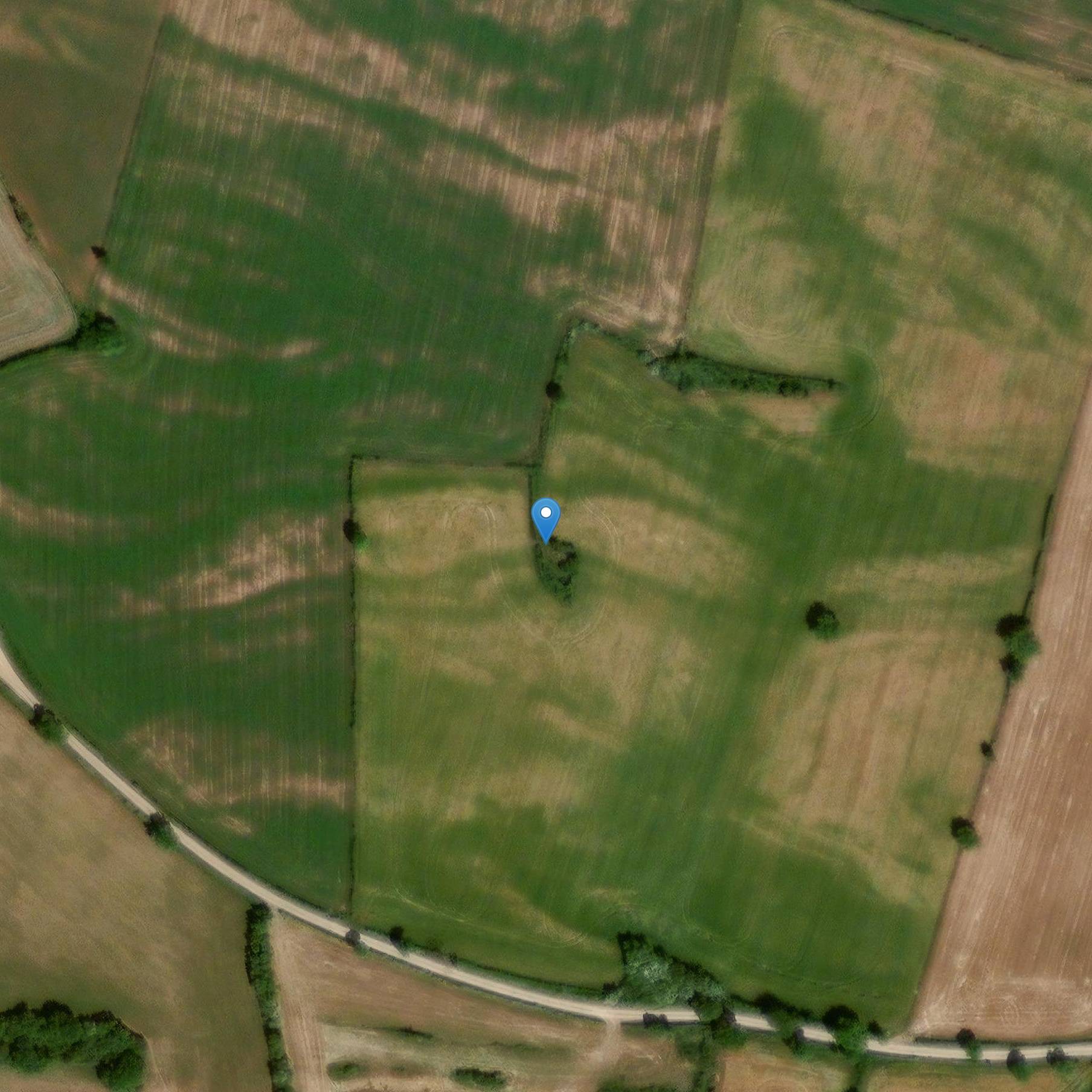 Photo de Archäologische Stätte des Dolmen de la Serre