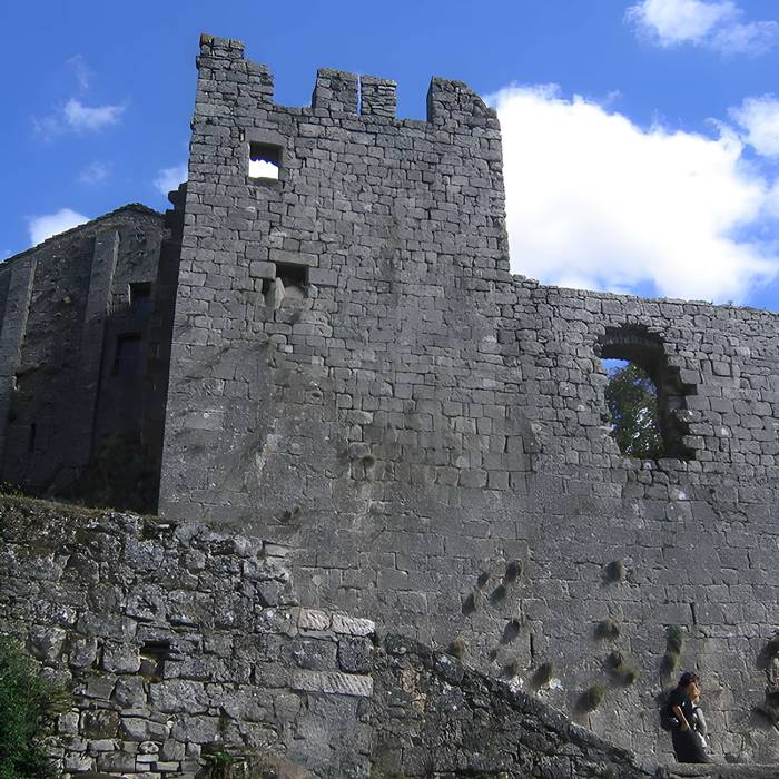 Photo de Donjon e i resti del castello