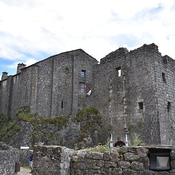 Donjon et les restes du château