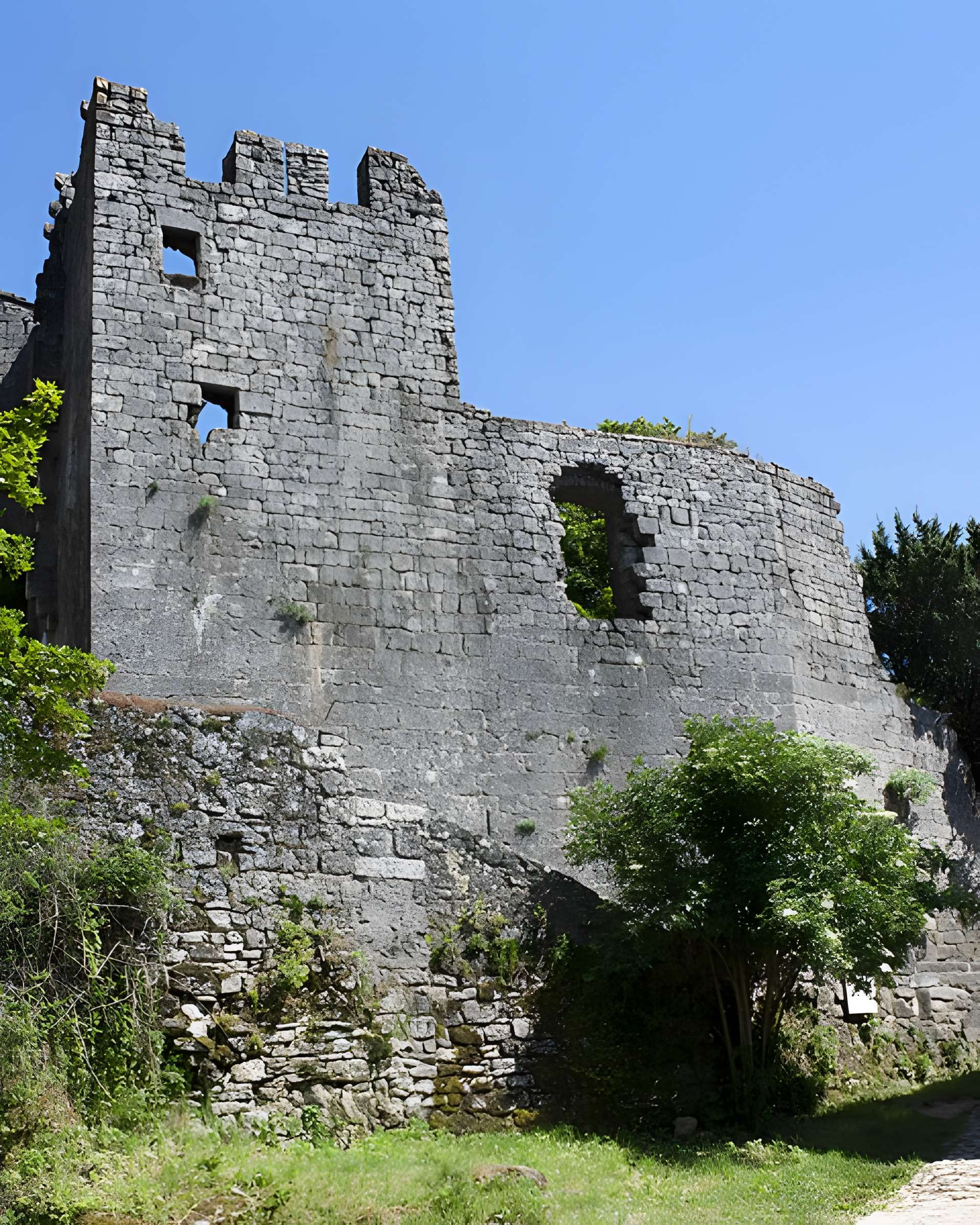Donjon et les restes du château