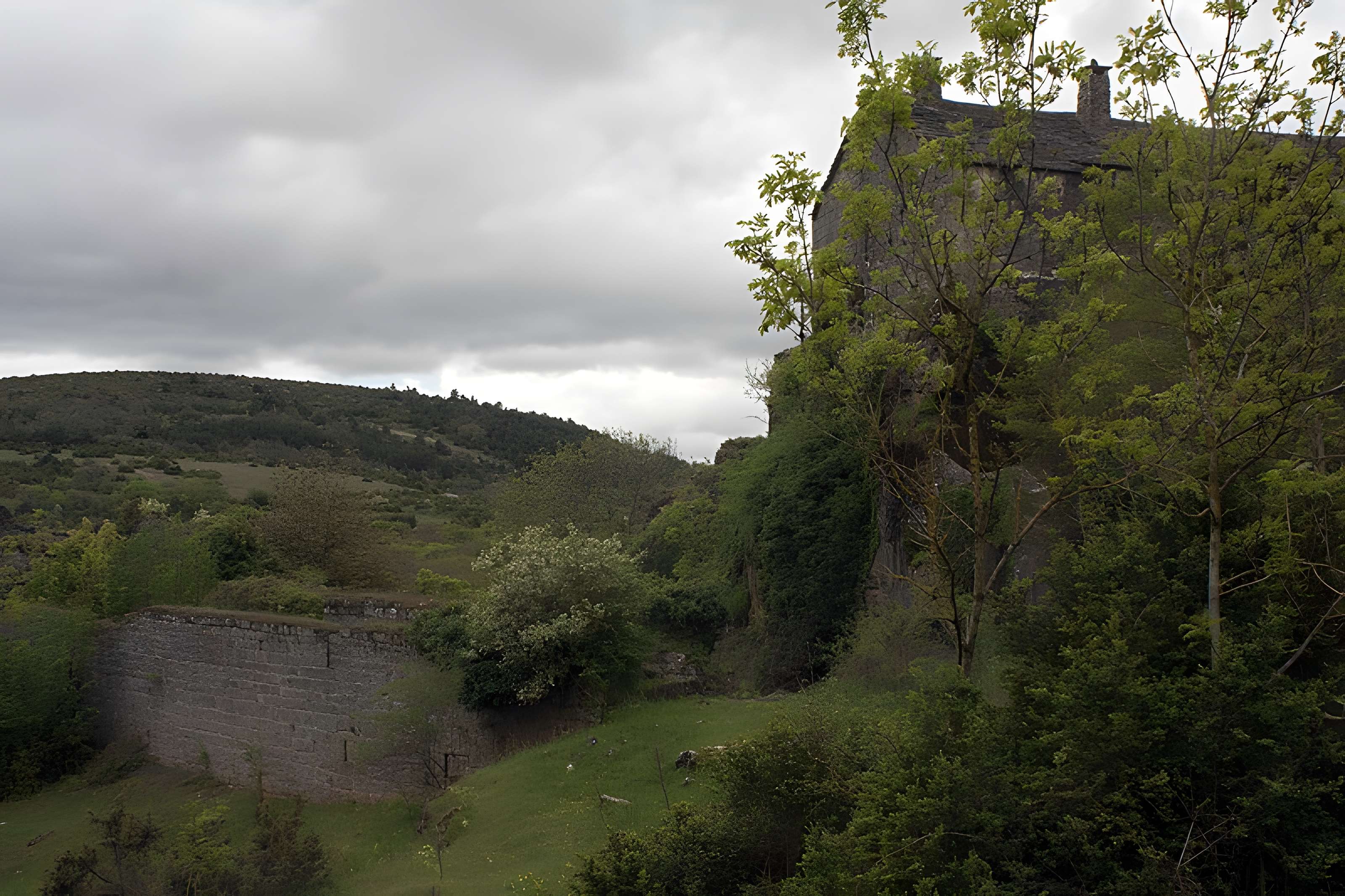 Donjon et les restes du château