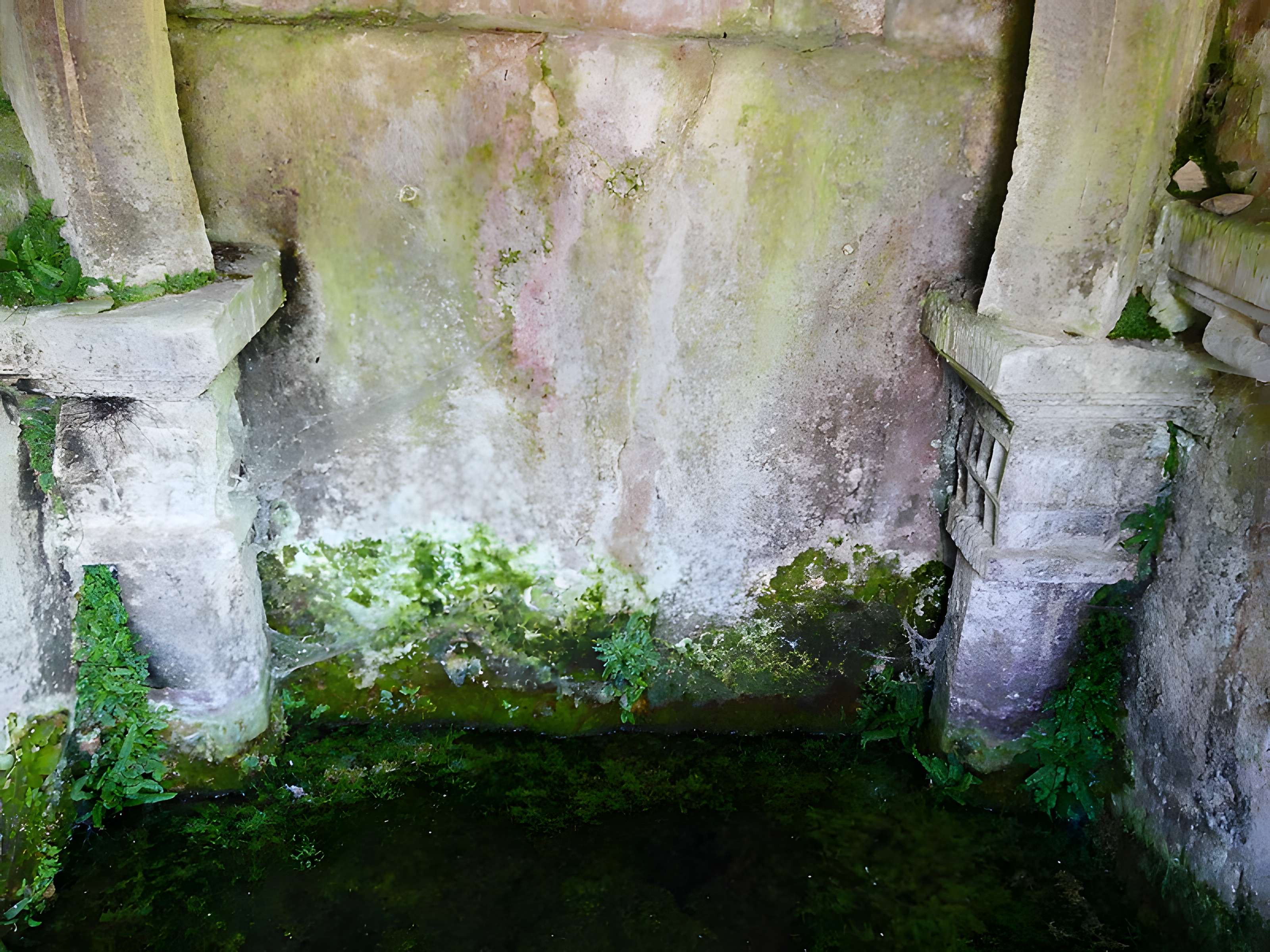 Fontaine romane de Cayssac