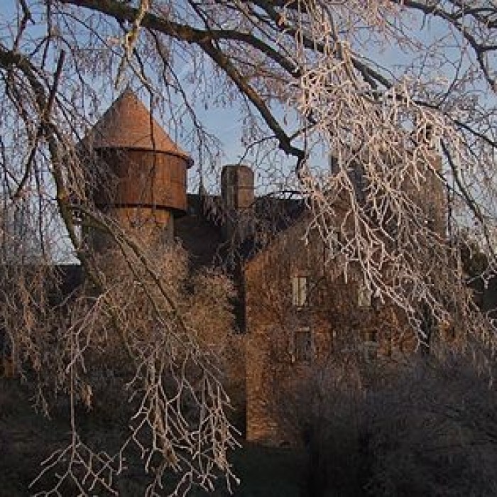 Photo de Château dIngrandes