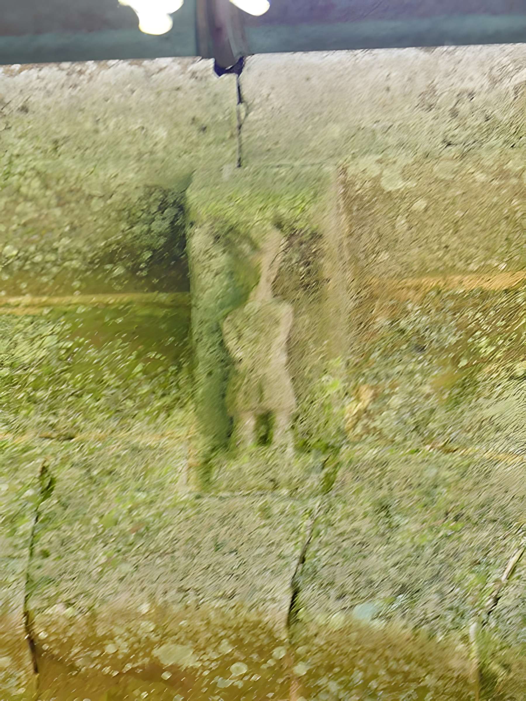 Château de Roquelaure