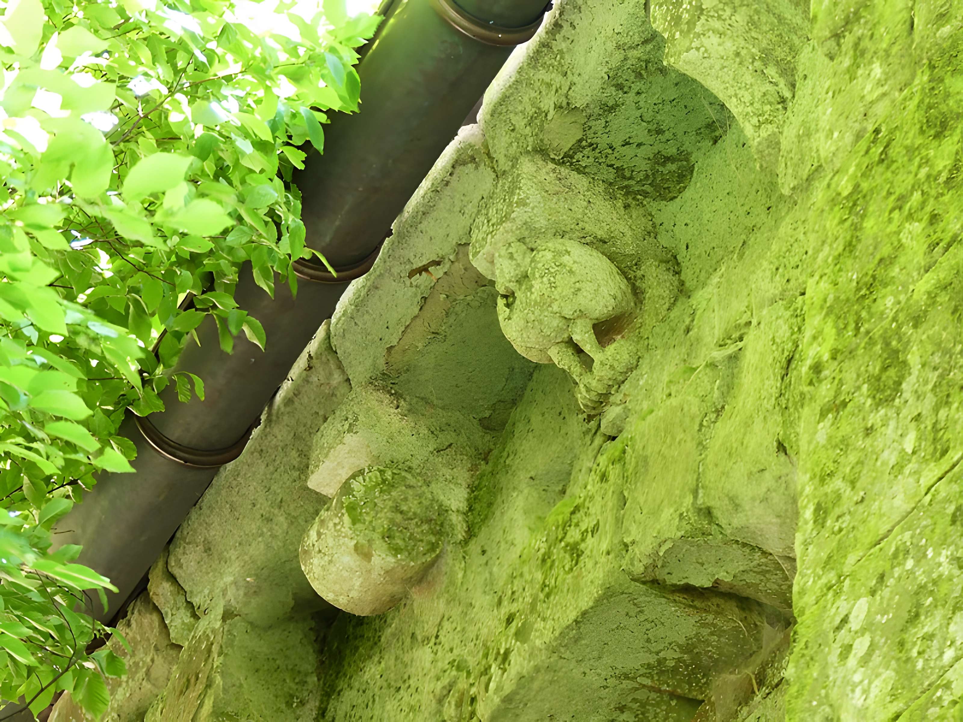 Château de Roquelaure