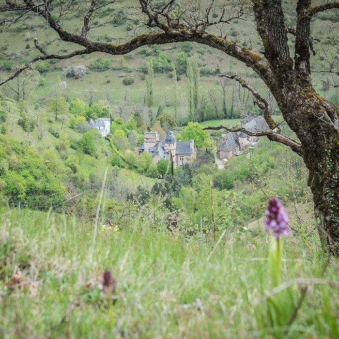 Photo de Manoir de Curlande