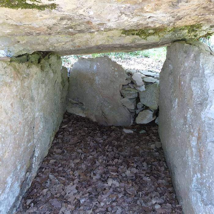 Photo de Dolmen dit de Maire-Gaillard