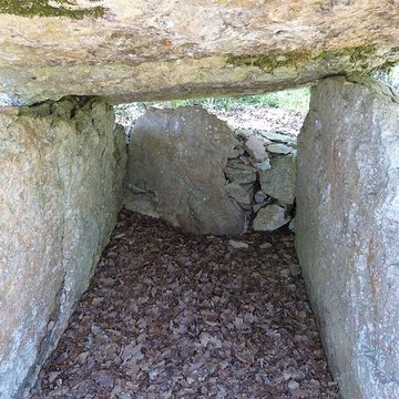Dolmen dit de Maire-Gaillard