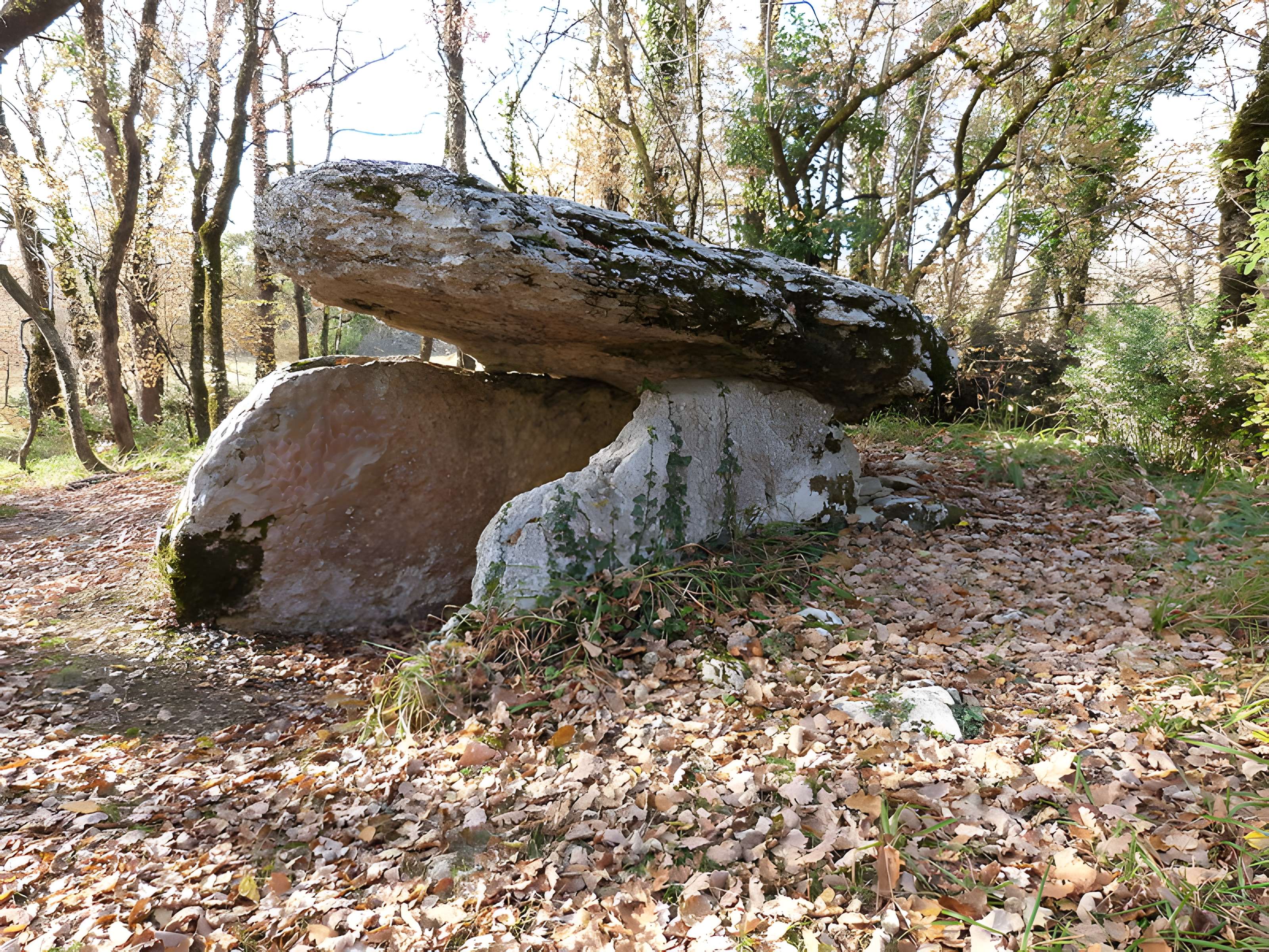 Dolmen dit de Maire-Gaillard