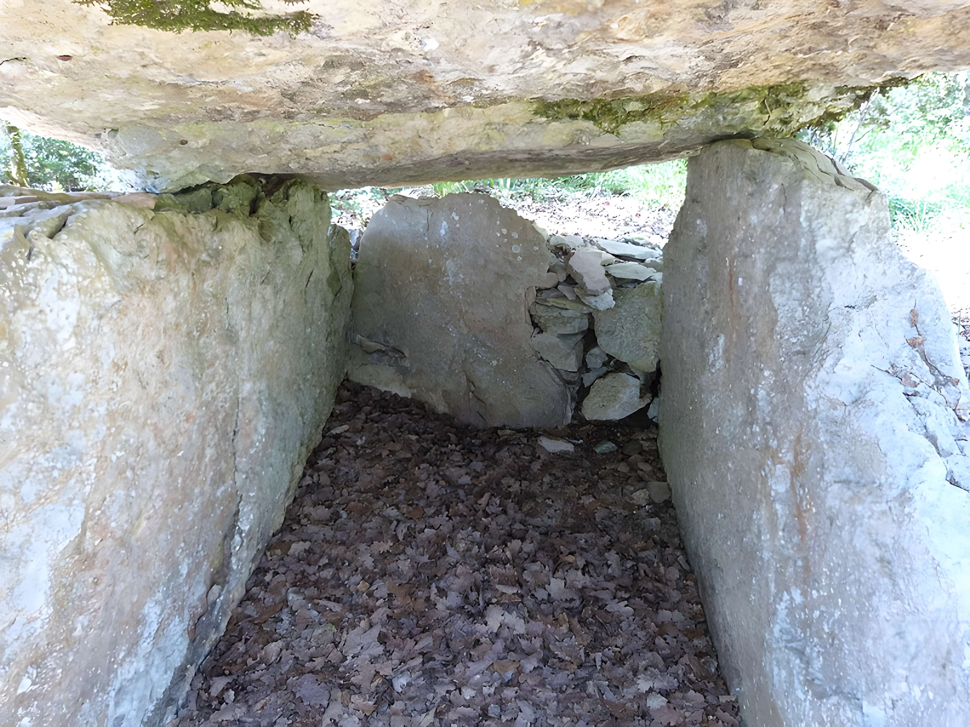 Dolmen dit de Maire-Gaillard