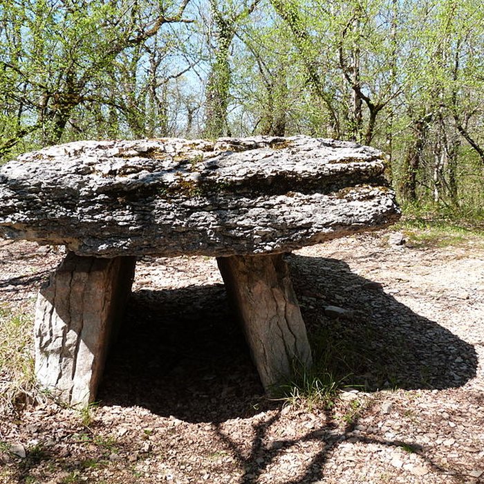 Photo de Dolmen du Bois de Galtier