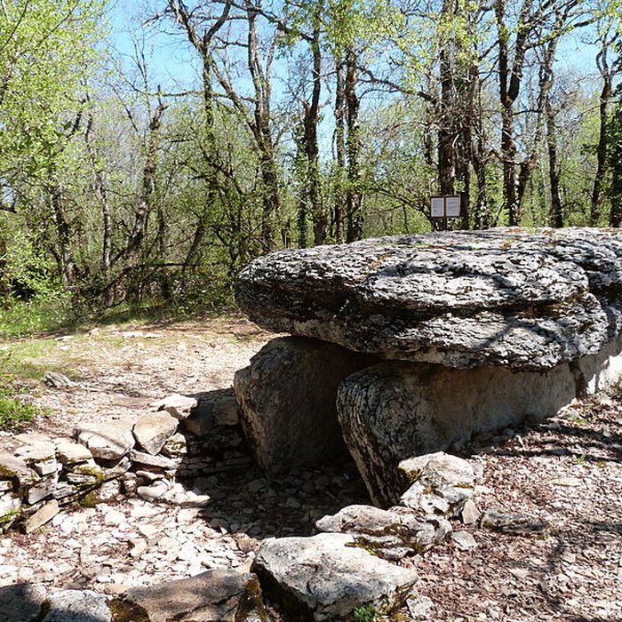 Photo de Dolmen du Bois de Galtier
