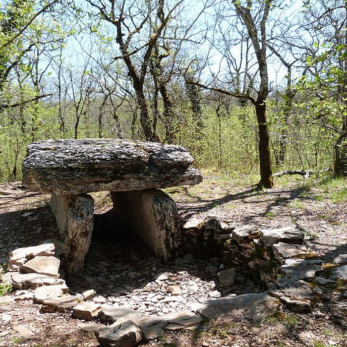 Photo de Dolmen du Bois de Galtier