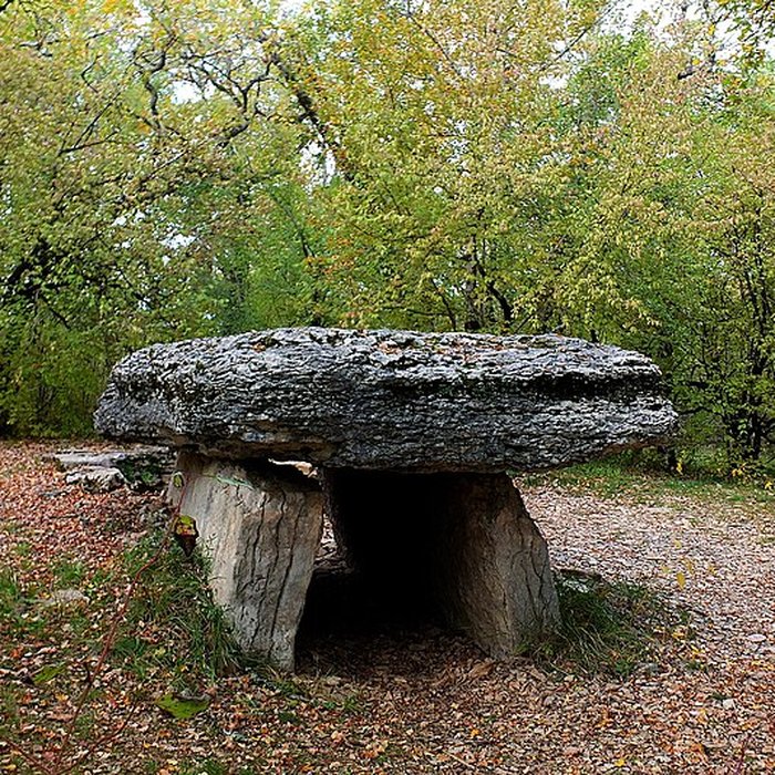 Photo de Dolmen du Bois de Galtier