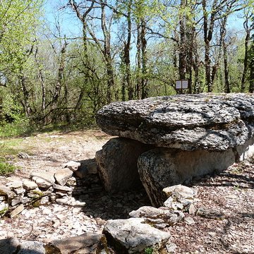 Dolmen du Bois de Galtier