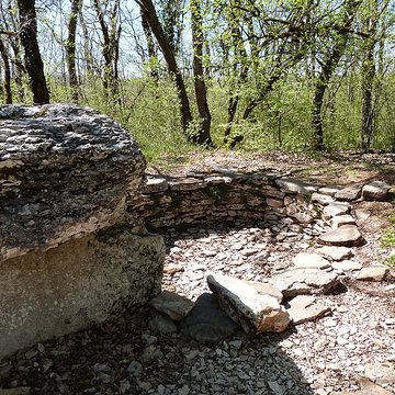 Dolmen du Bois de Galtier
