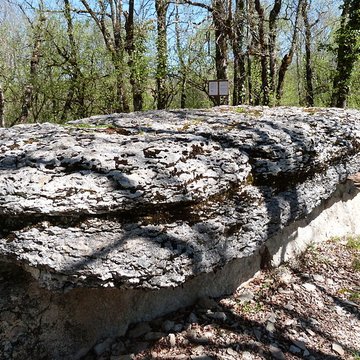 Dolmen du Bois de Galtier