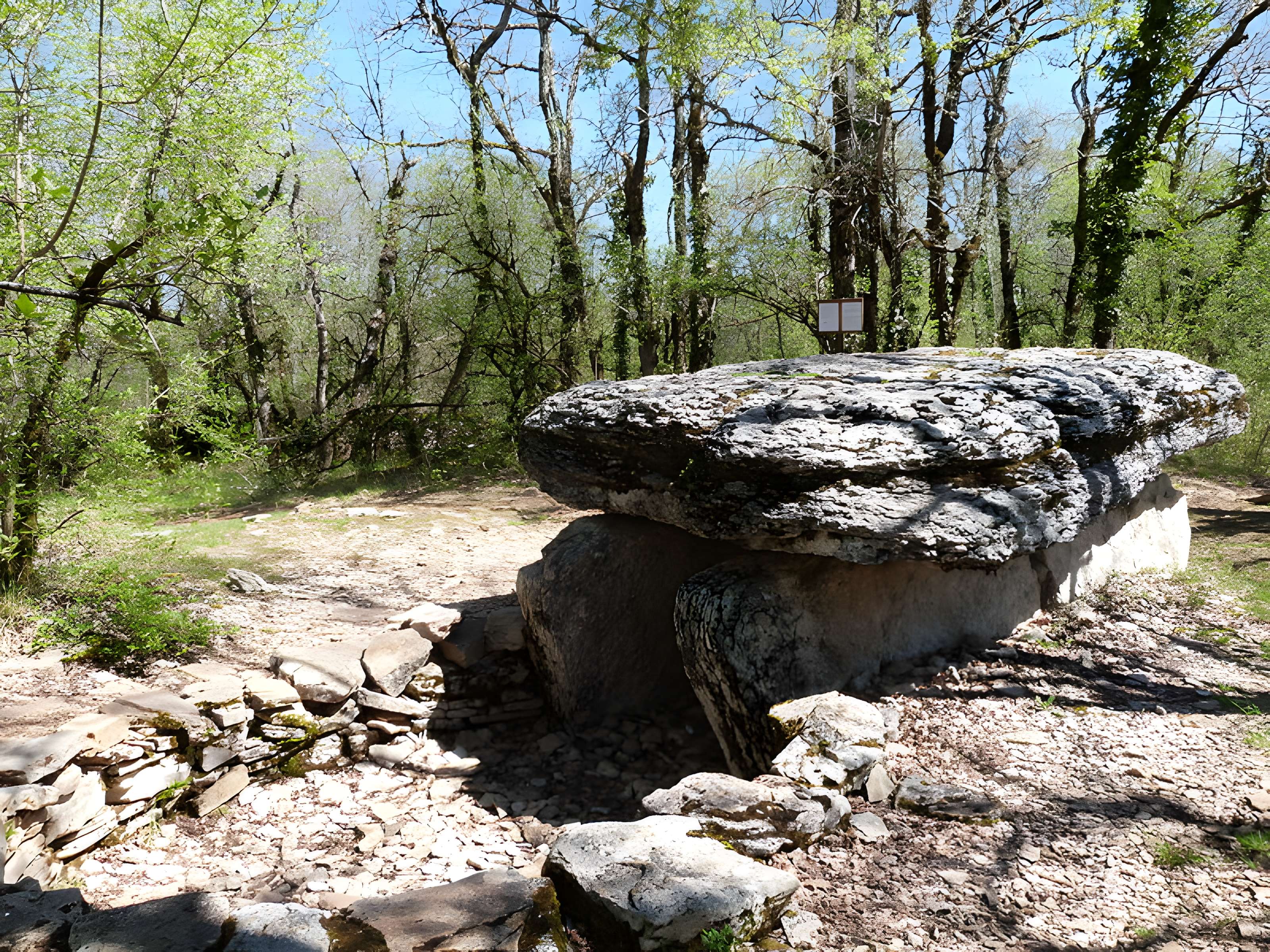 Dolmen du Bois de Galtier