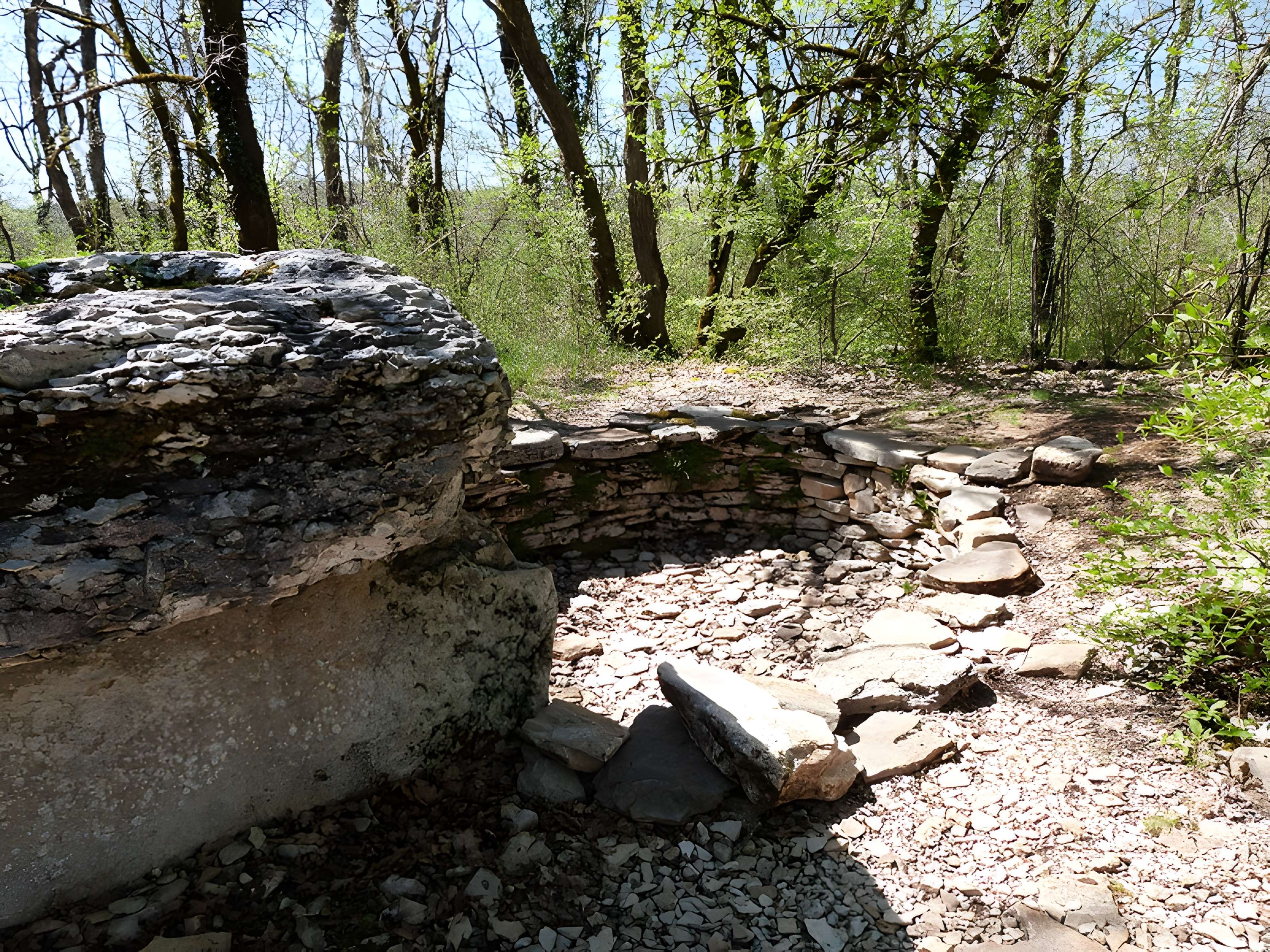 Dolmen du Bois de Galtier