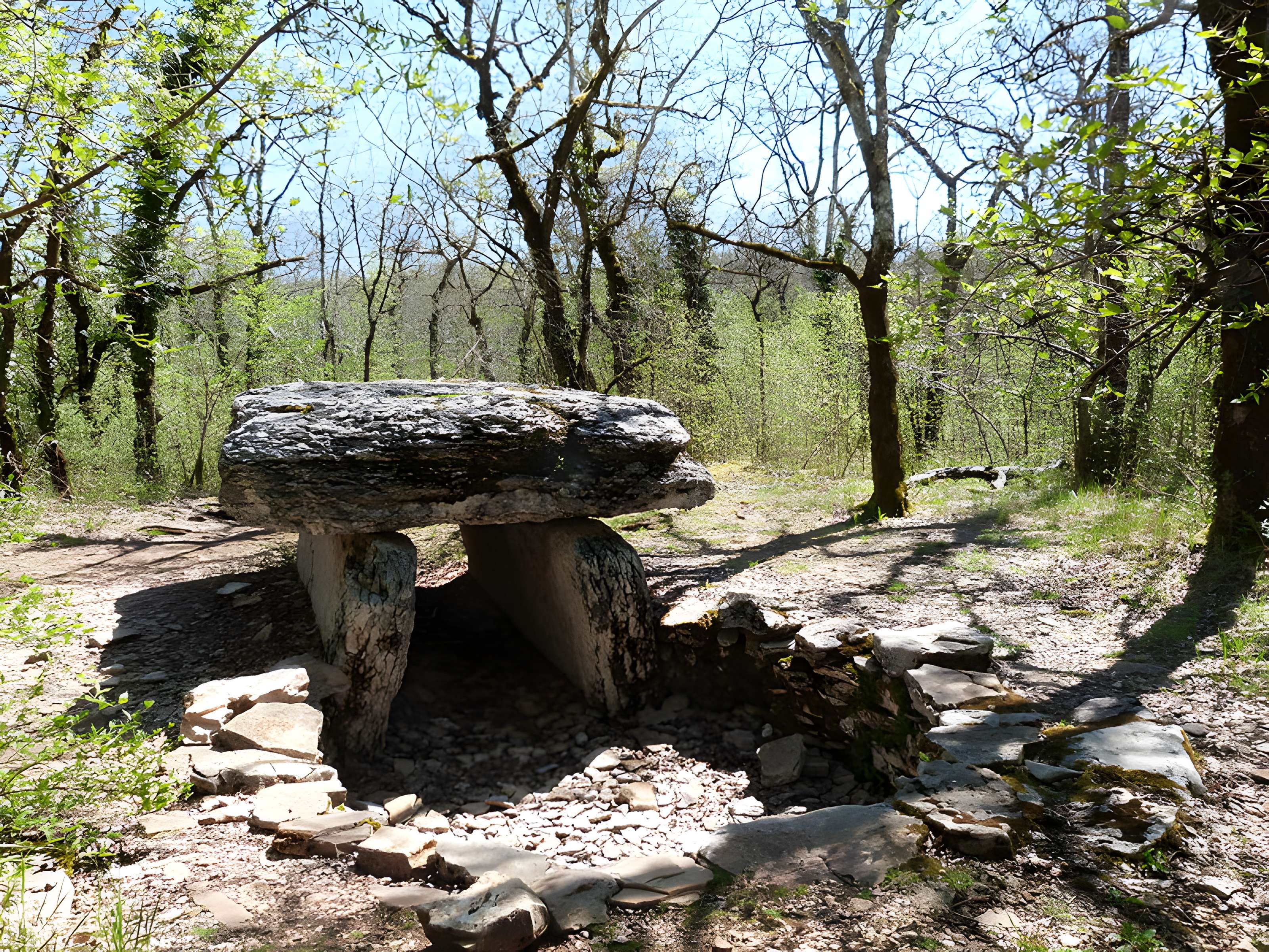 Dolmen du Bois de Galtier