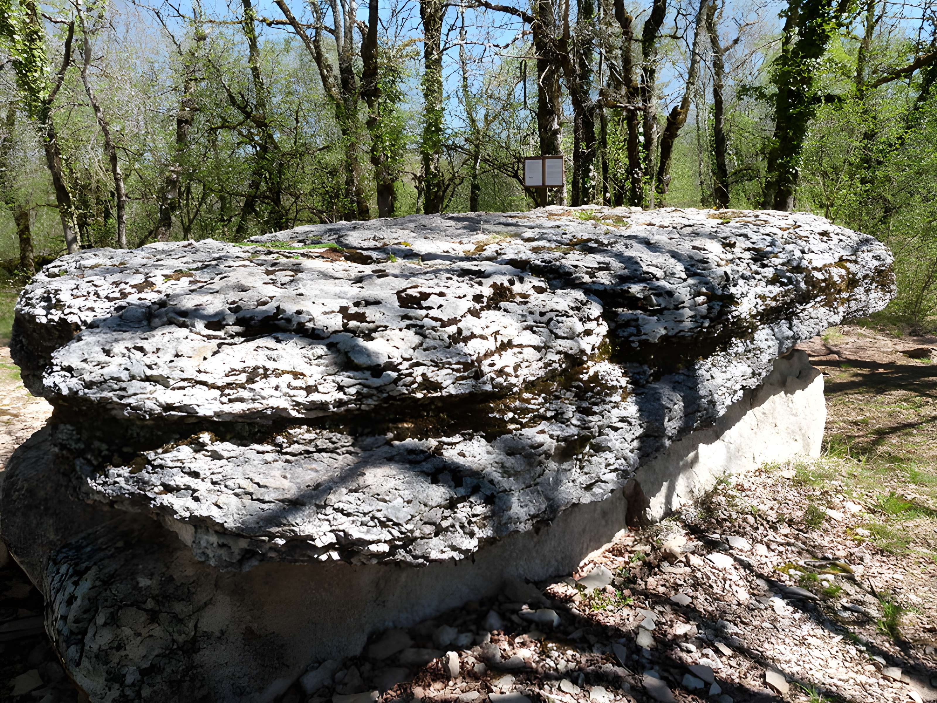 Dolmen du Bois de Galtier