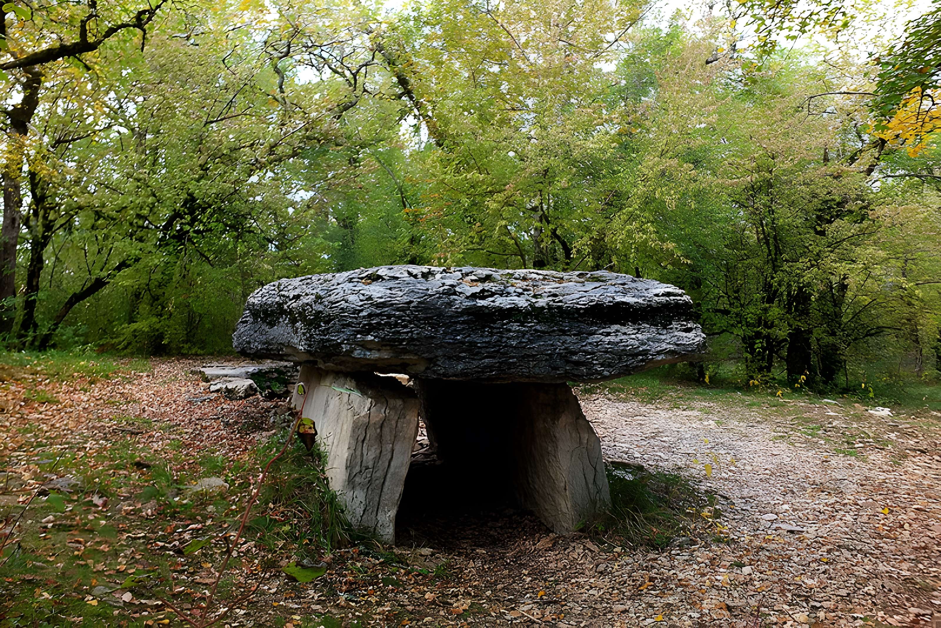 Dolmen du Bois de Galtier