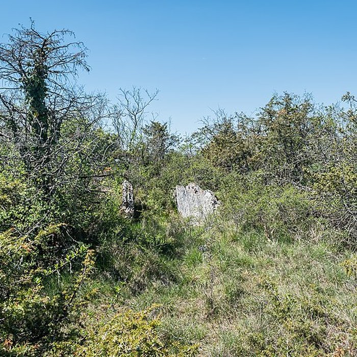 Photo de Site archéologique du dolmen de la Vitarelle III