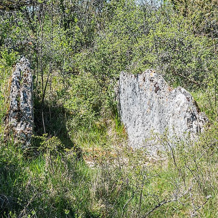 Photo de Site archéologique du dolmen de la Vitarelle III