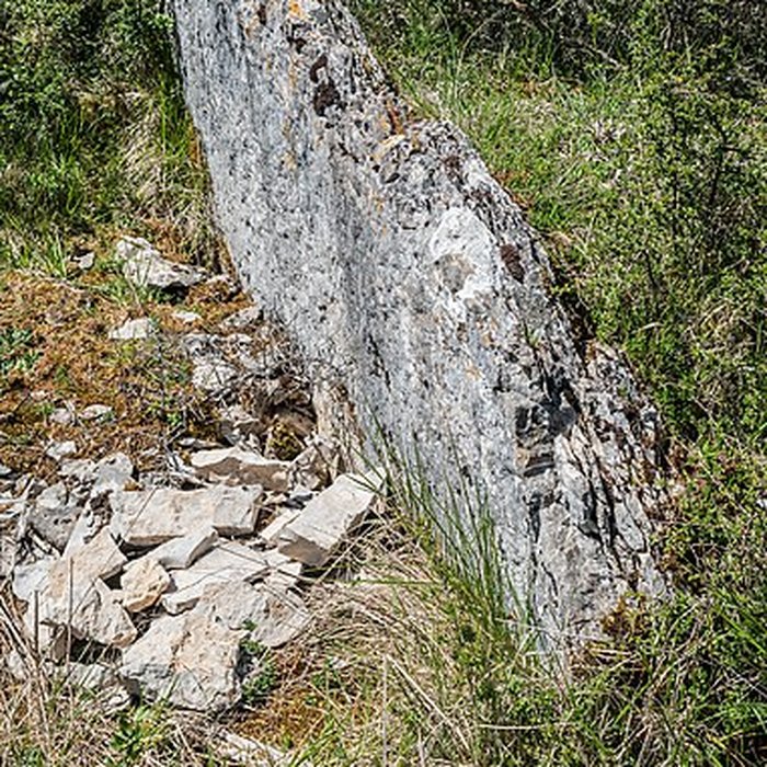 Photo de Site archéologique du dolmen de la Vitarelle III
