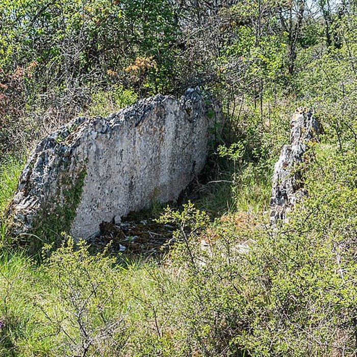 Photo de Site archéologique du dolmen de la Vitarelle III