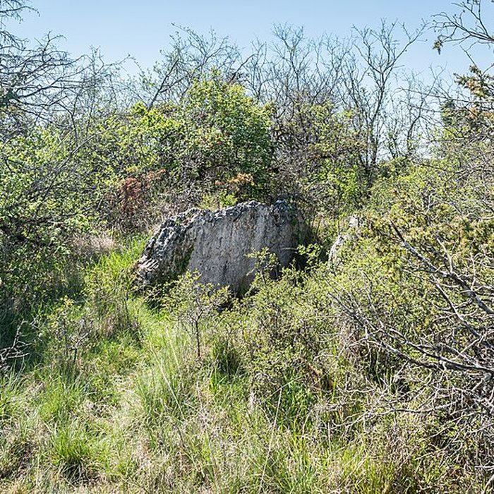 Photo de Site archéologique du dolmen de la Vitarelle III