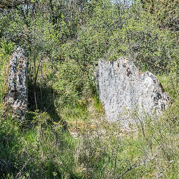 Site archéologique du dolmen de la Vitarelle III