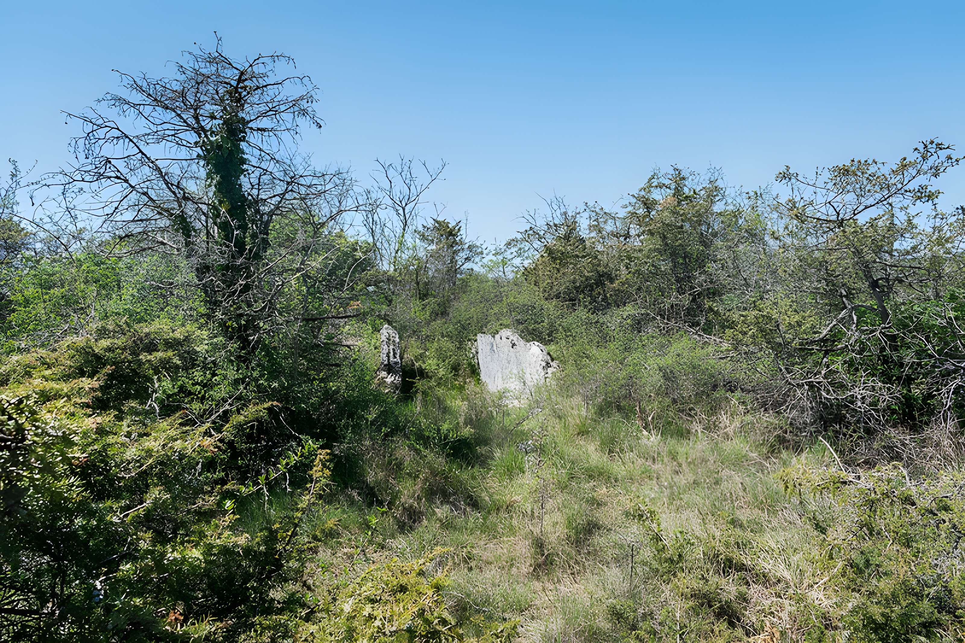 Site archéologique du dolmen de la Vitarelle III