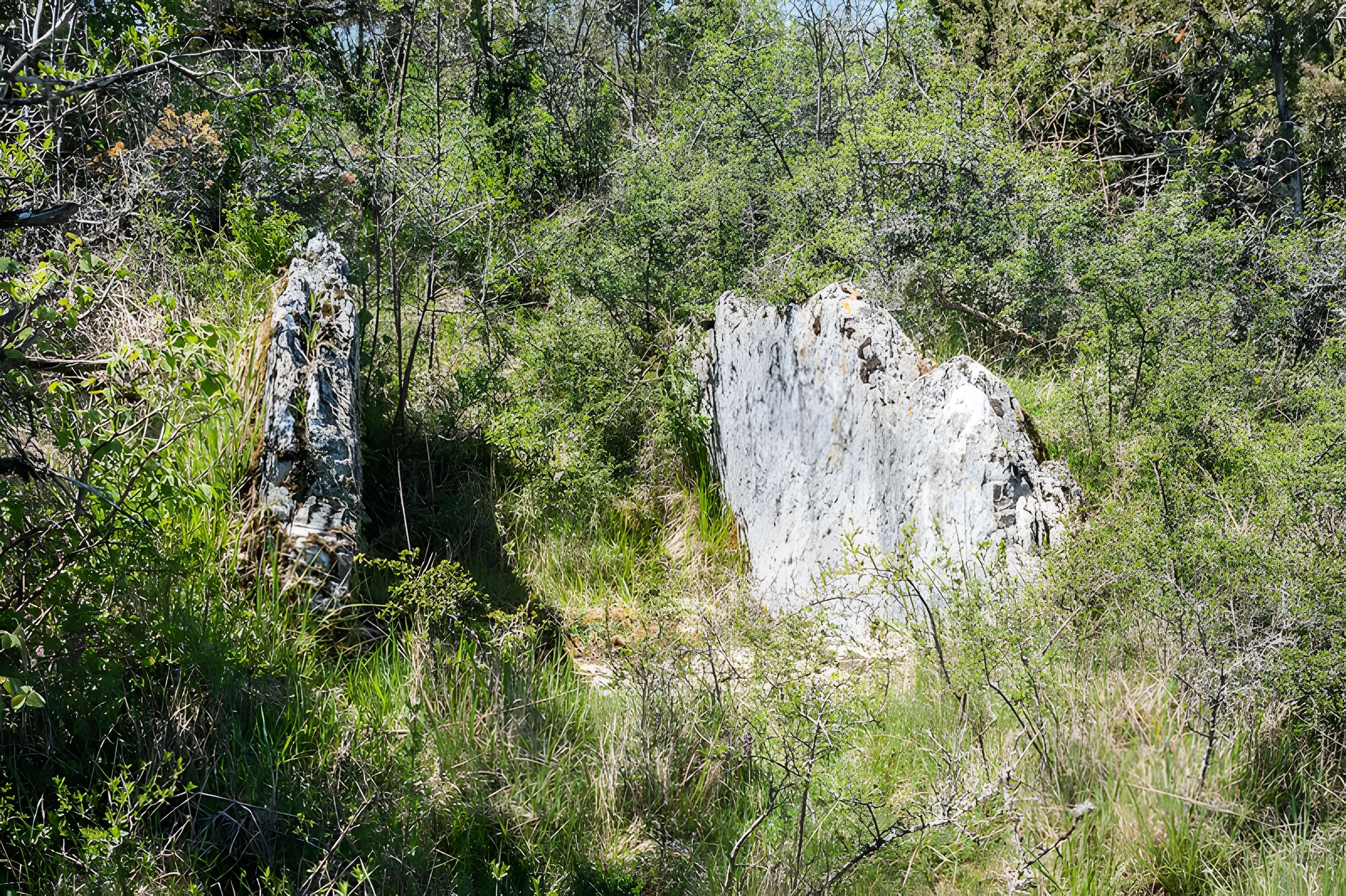 Site archéologique du dolmen de la Vitarelle III