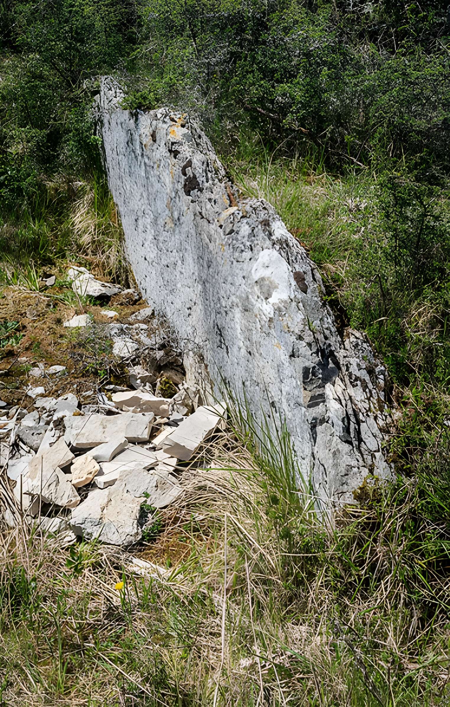 Site archéologique du dolmen de la Vitarelle III