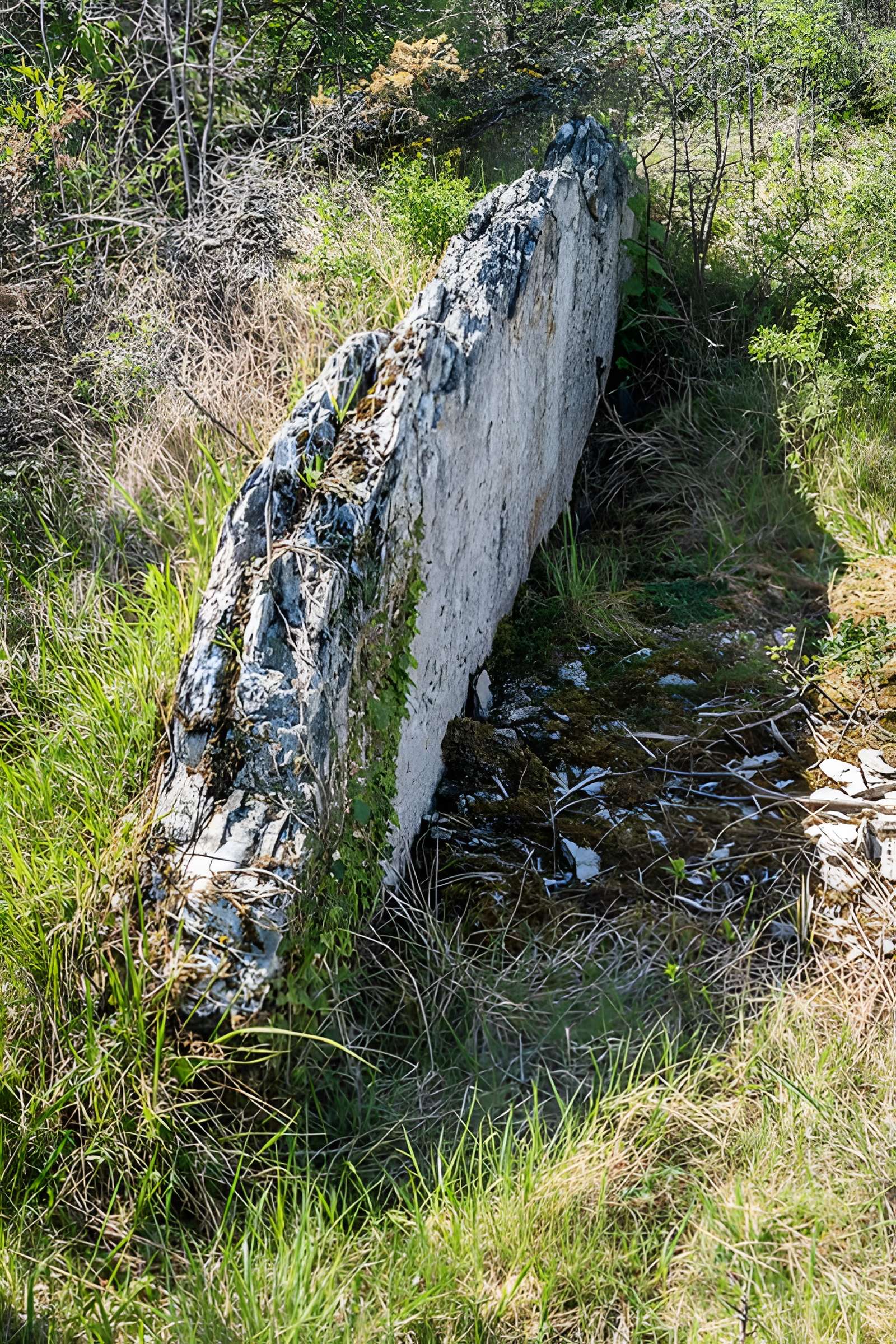 Site archéologique du dolmen de la Vitarelle III