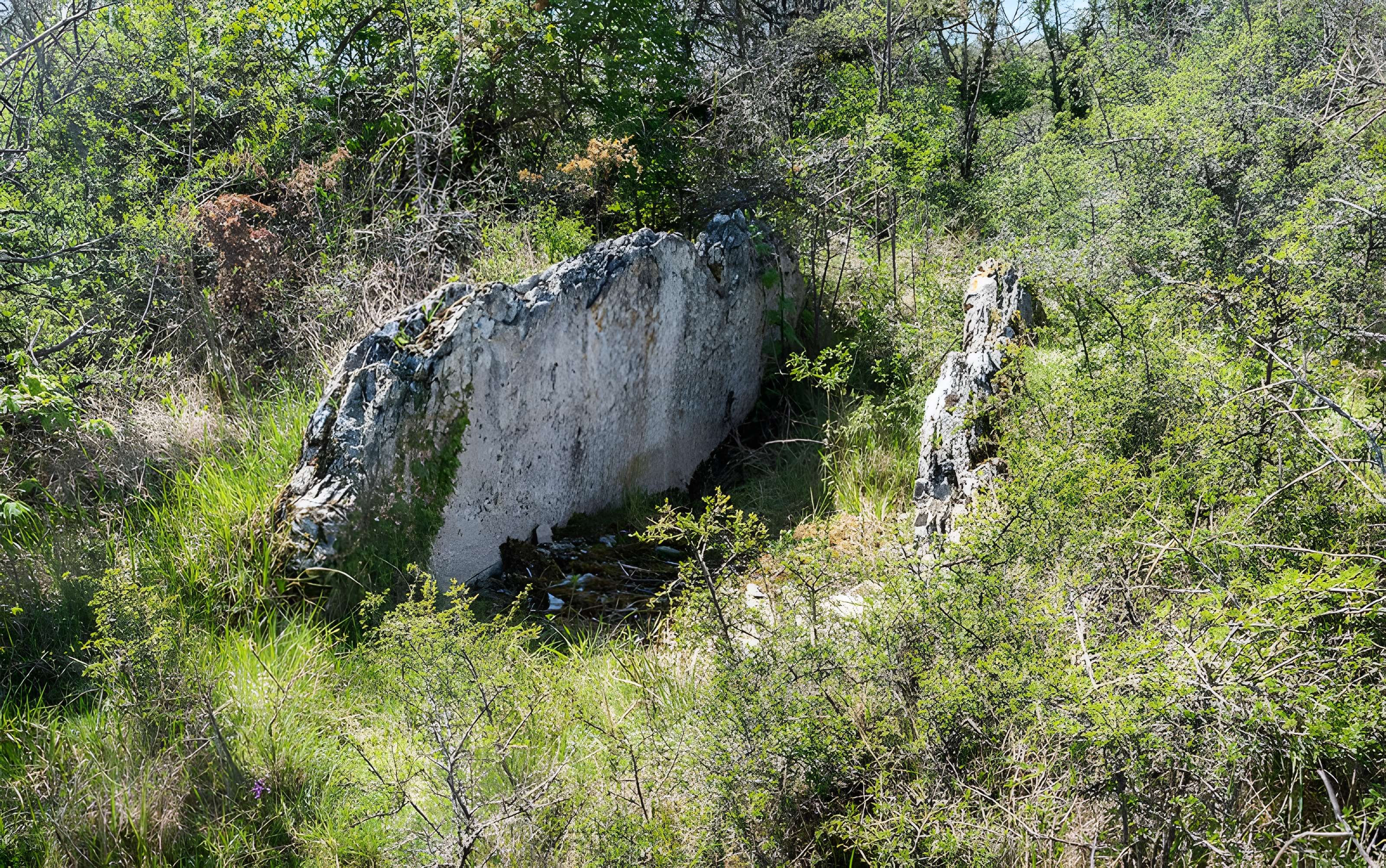 Site archéologique du dolmen de la Vitarelle III